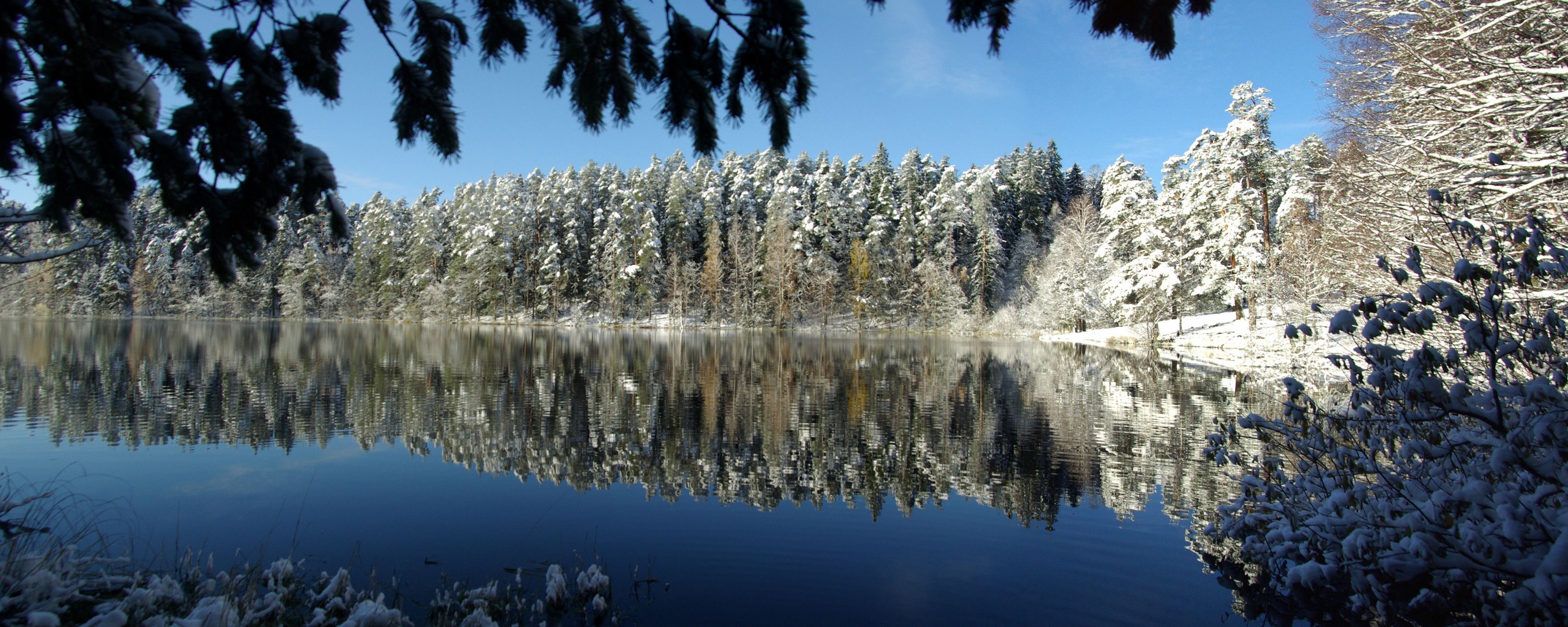 Vaade talvisele Viitna järvele